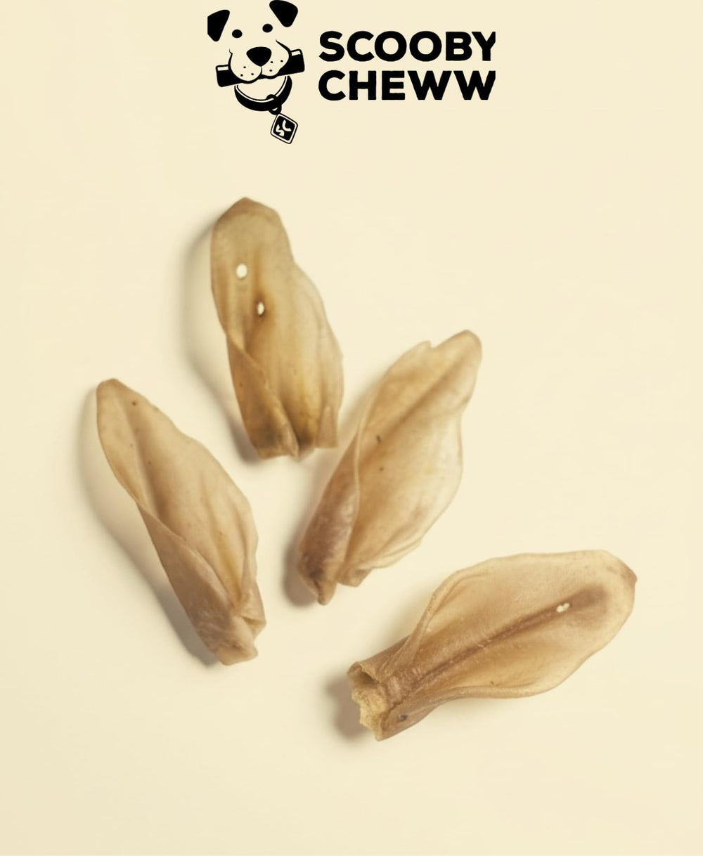 Scooby Cheww – usage quotidien pour chiens actifs, snack pratique après l'exercice.