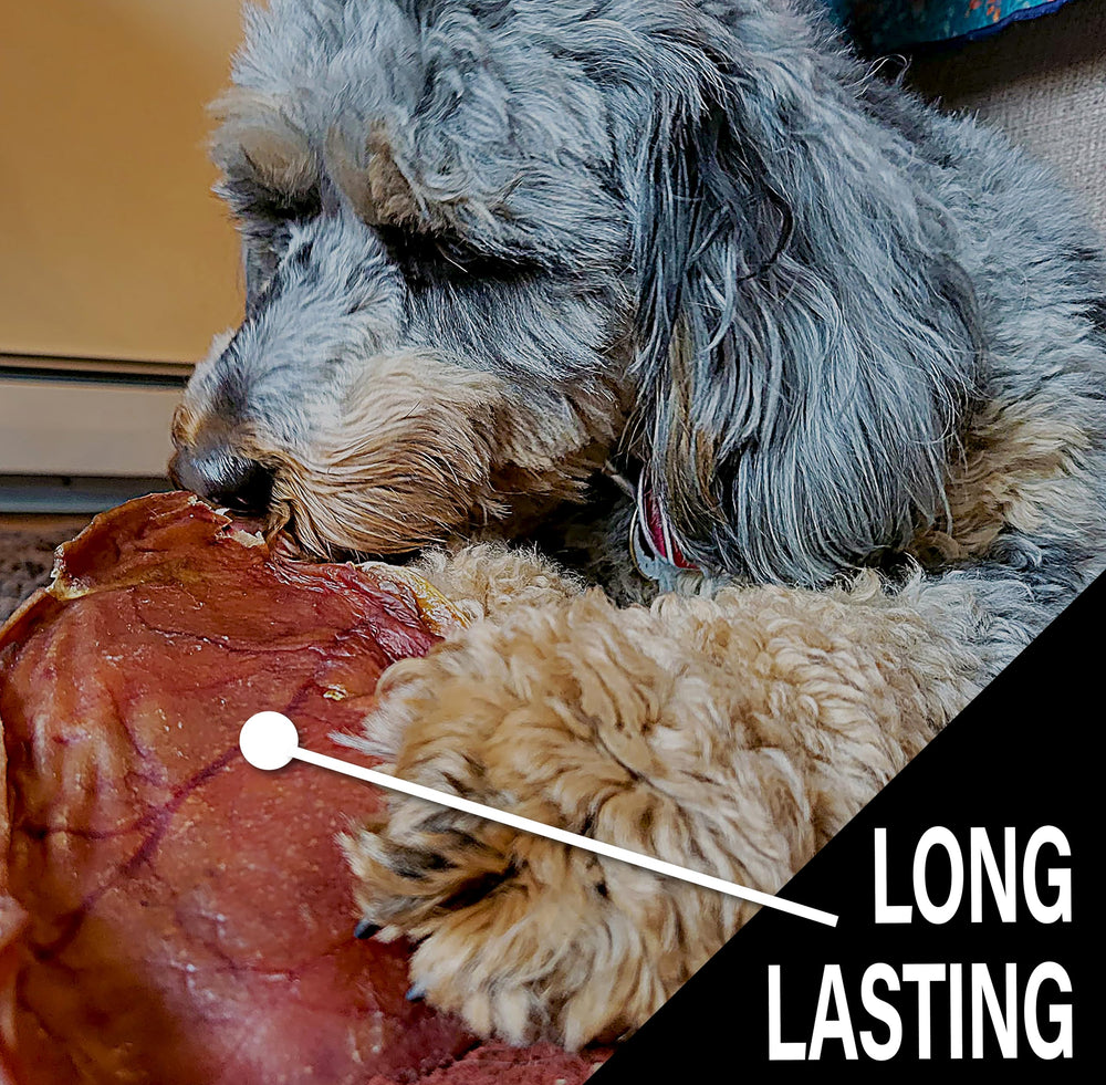 Scoochie Pet: texture naturelle des oreilles de porc pour chien.