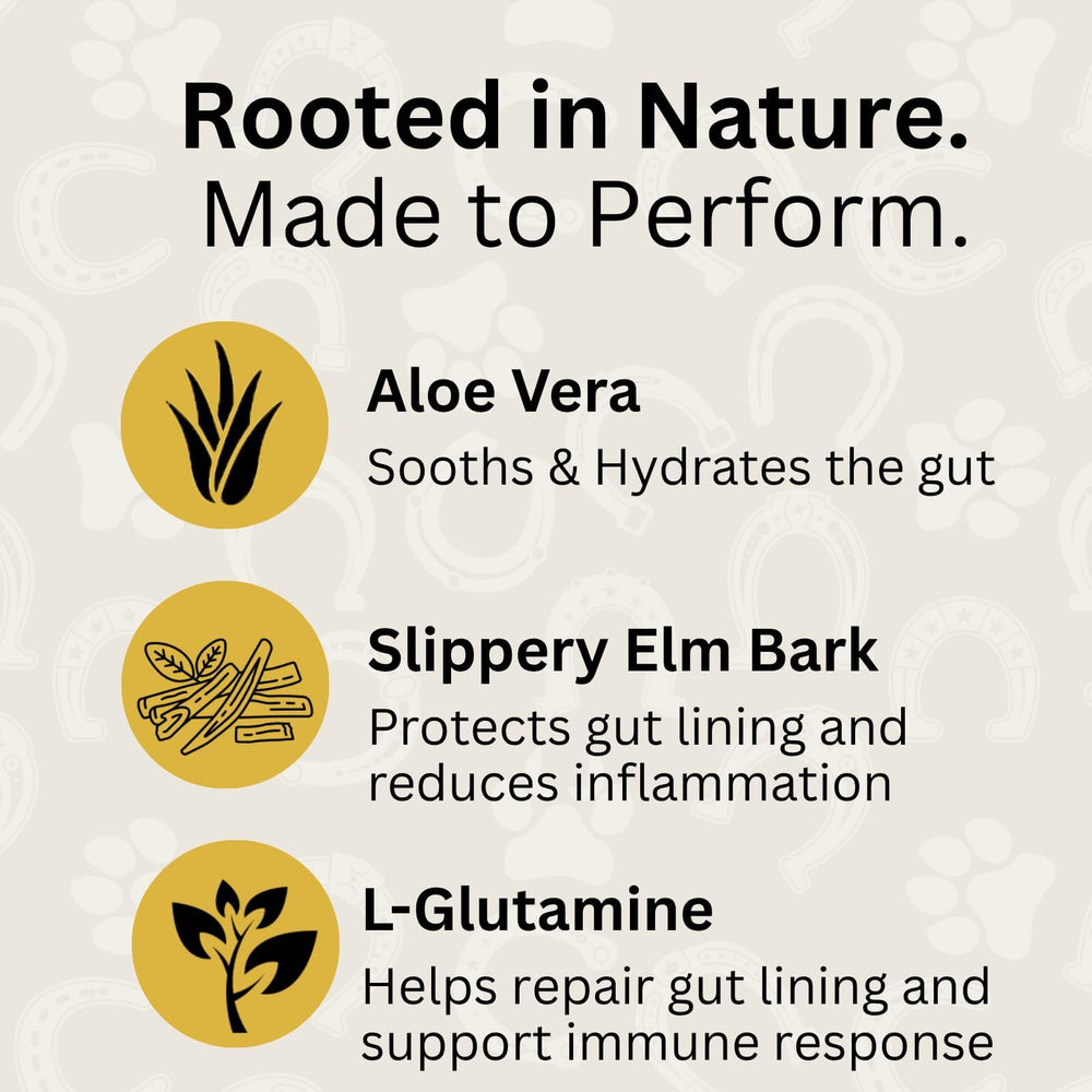 ScoopRX GI Rescue: Aloe vera pour apaiser le tractus digestif