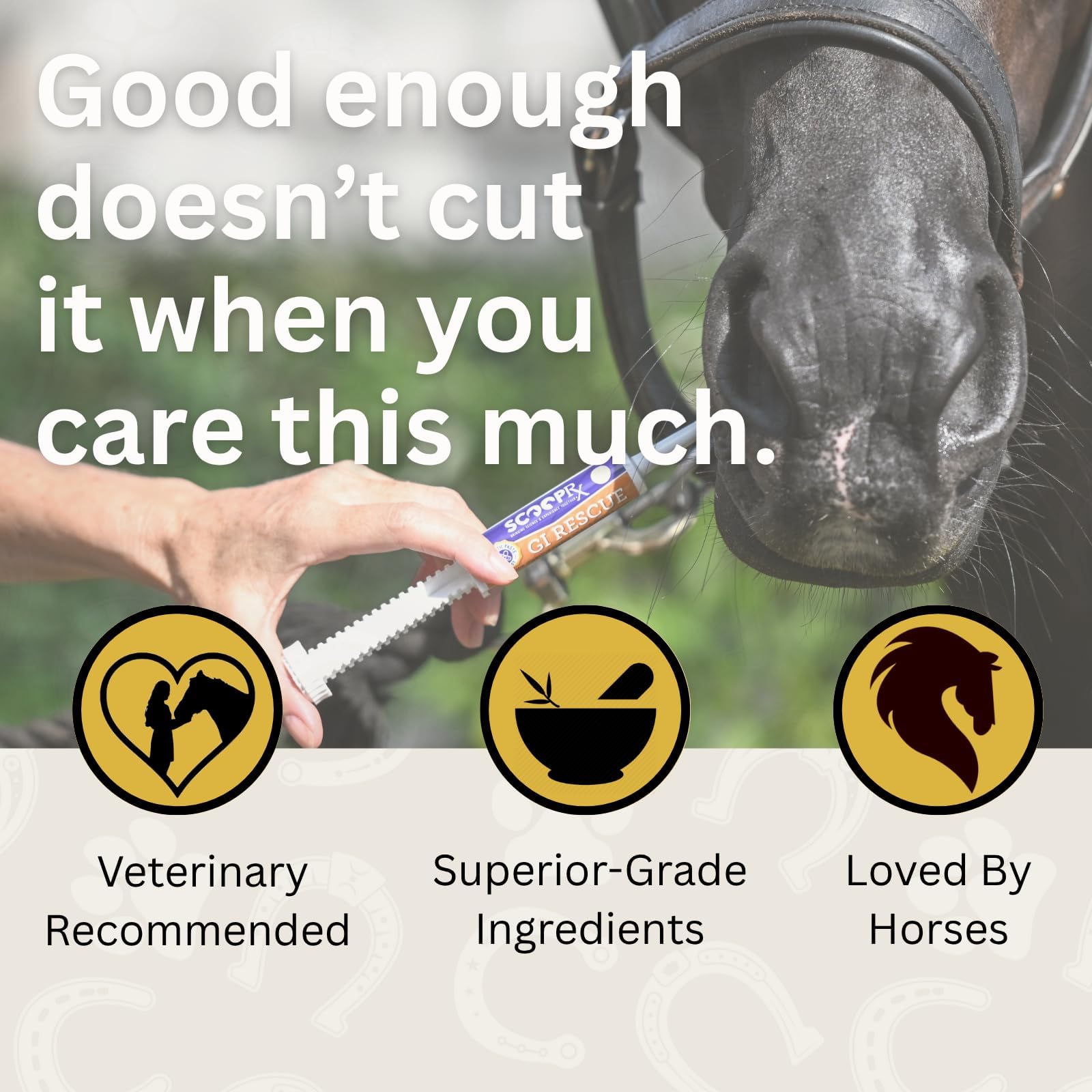 Tube dose GI Rescue prêt à administrer pour cheval, rapide et pratique