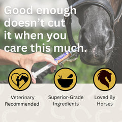 ScoopRX GI Rescue: probiotiques boulardii pour équilibre intestinal