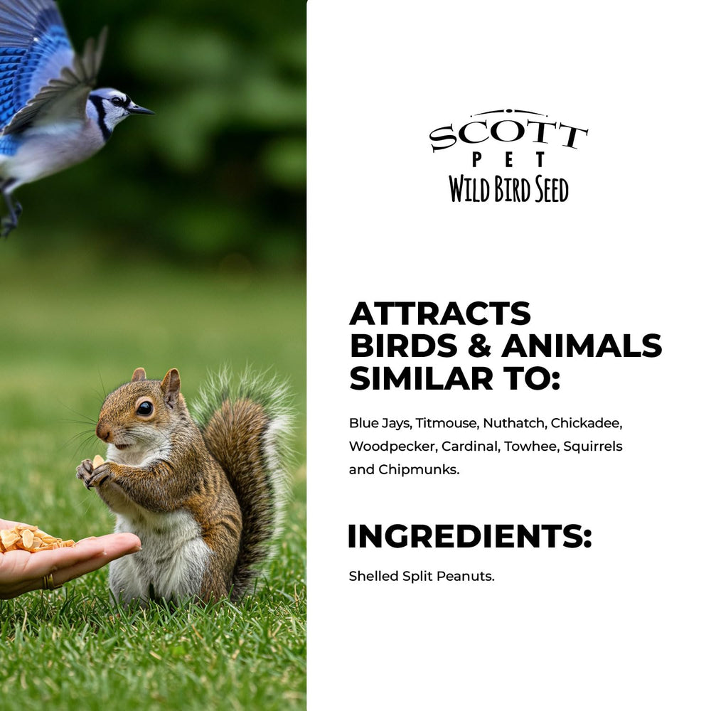 Scott Pet fabriqué aux États-Unis, arachides fendues sans coque.