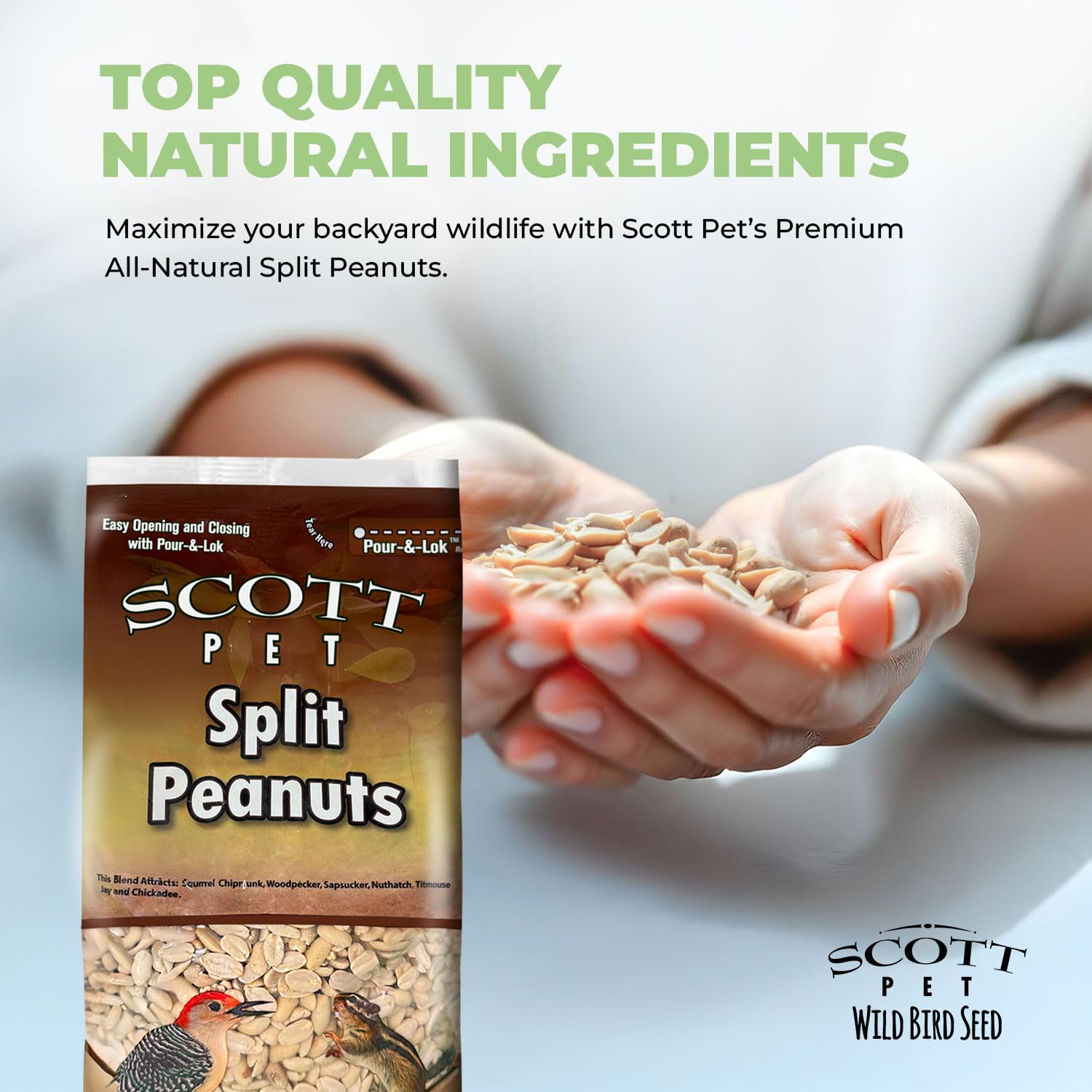 Scott Pet arachides fendues sans coque, ingrédients naturels de haute qualité.