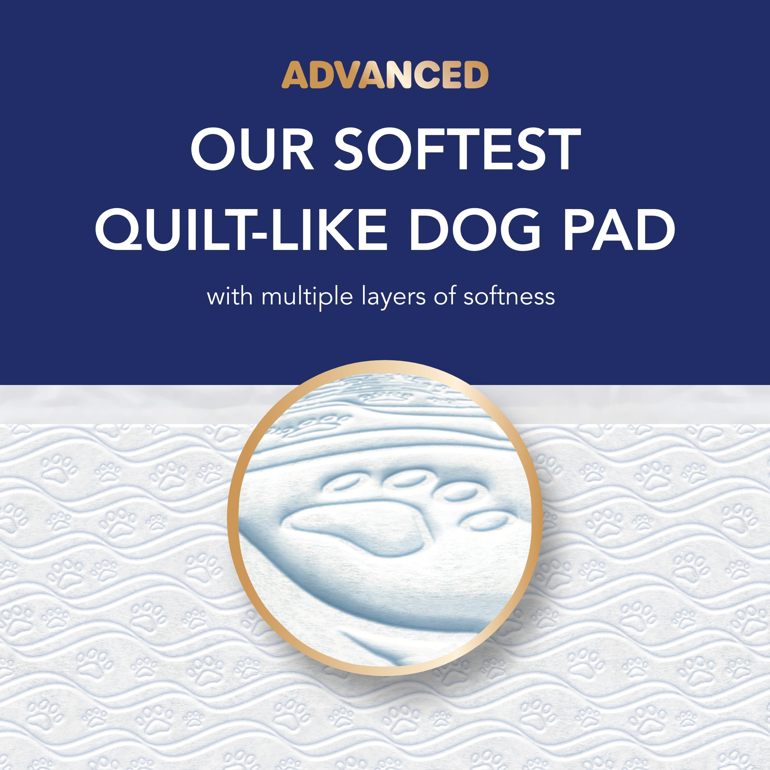 Scott Pet Guard Advanced Pads XXL – parfum d'entraînement facilitant la localisation