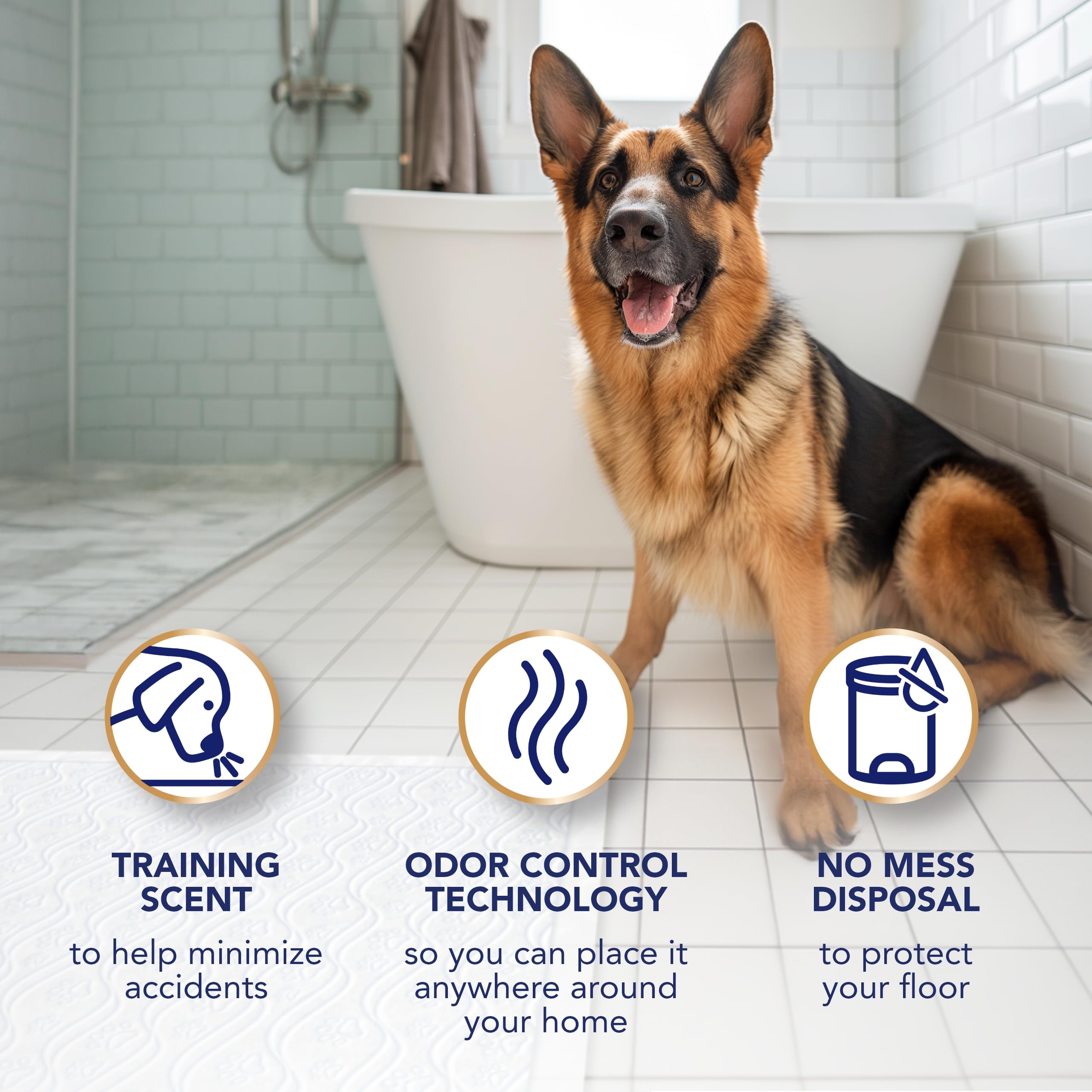 Scott Pet Guard Advanced Pads XXL – usage domestique pratique pour l'apprentissage
