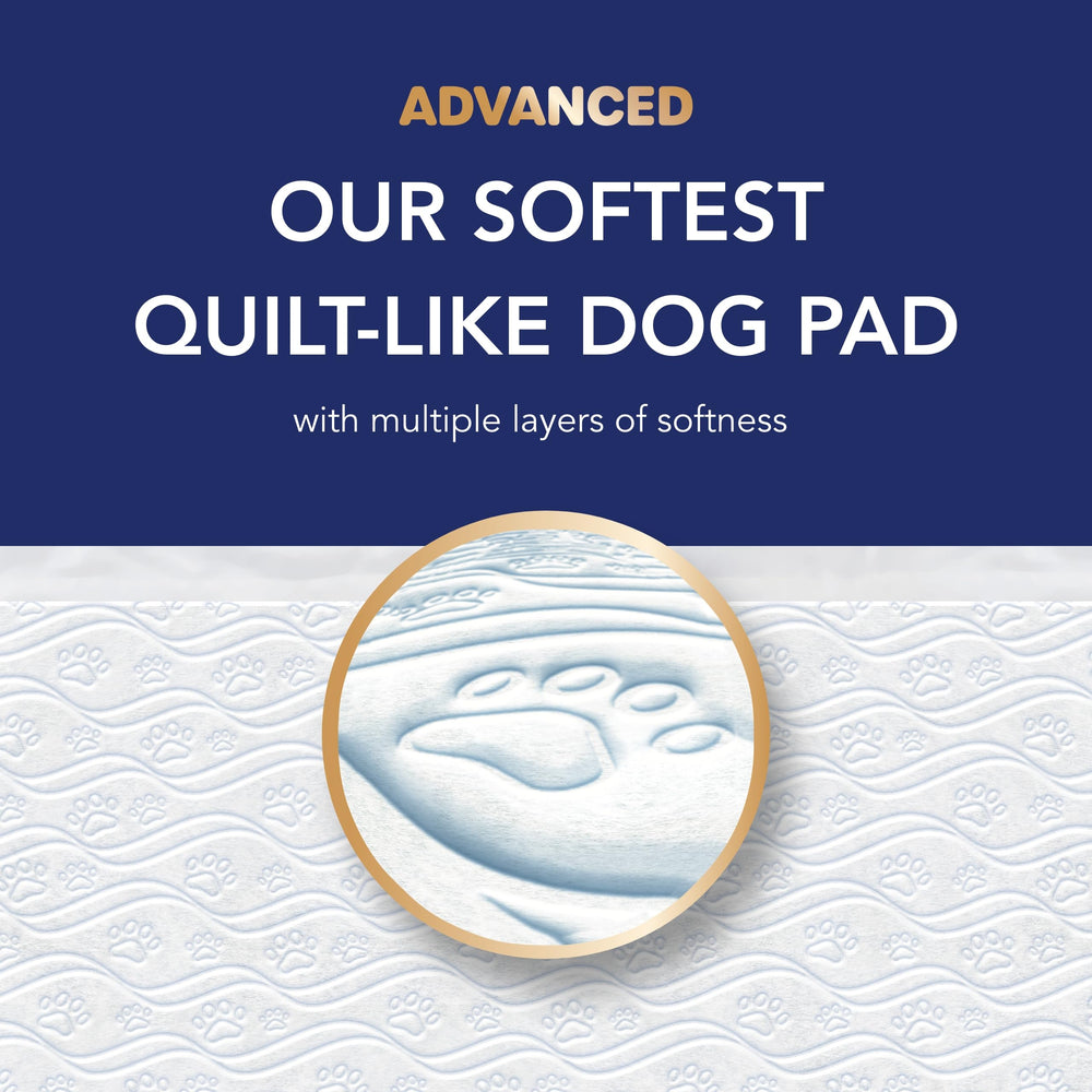 Scott Pet Guard Avancé Dos Imperméable XL: fond plastifié pour protéger les sols.