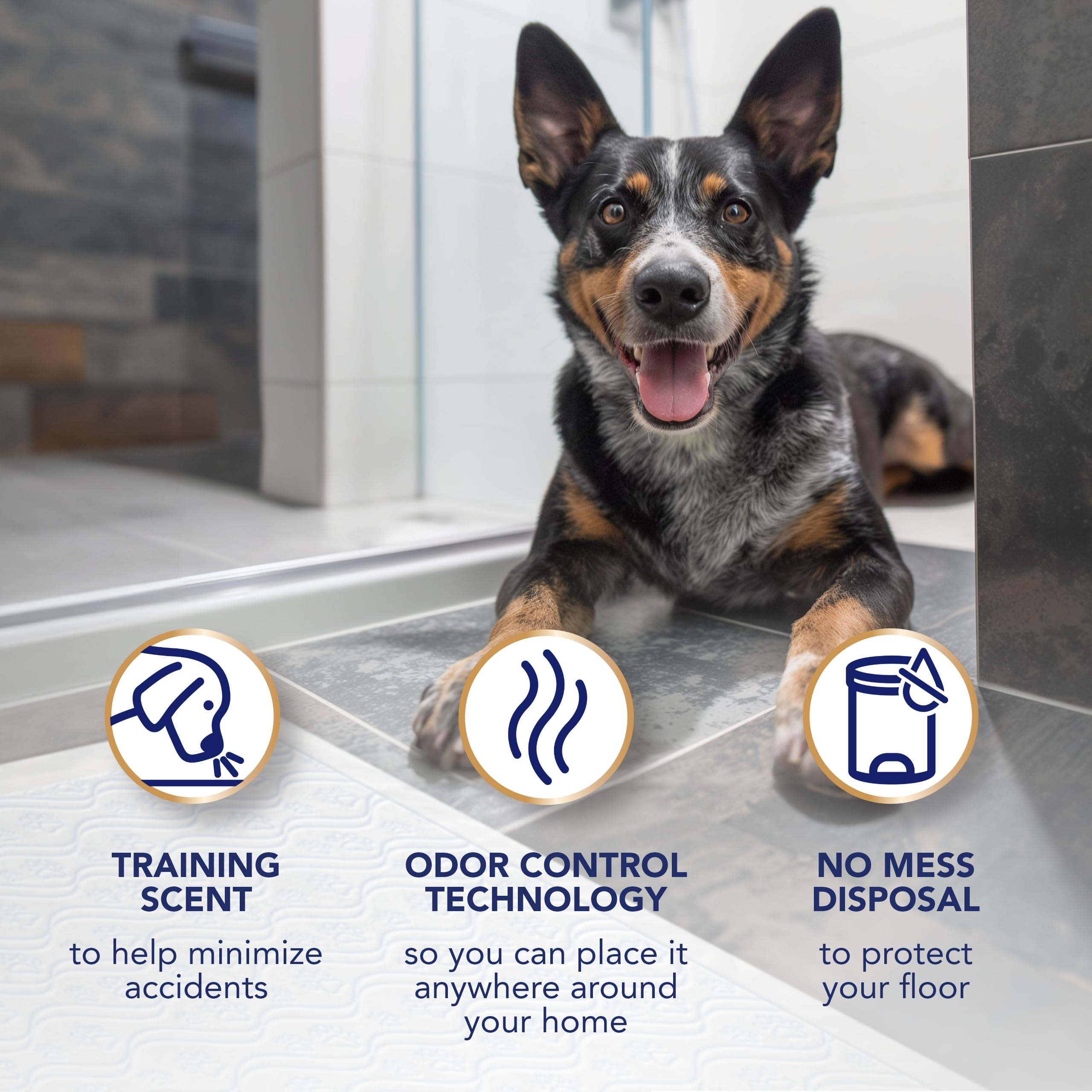 Scott Pet Guard Avancé Multi-Couches XL: noyau absorbant retient l’humidité longtemps.
