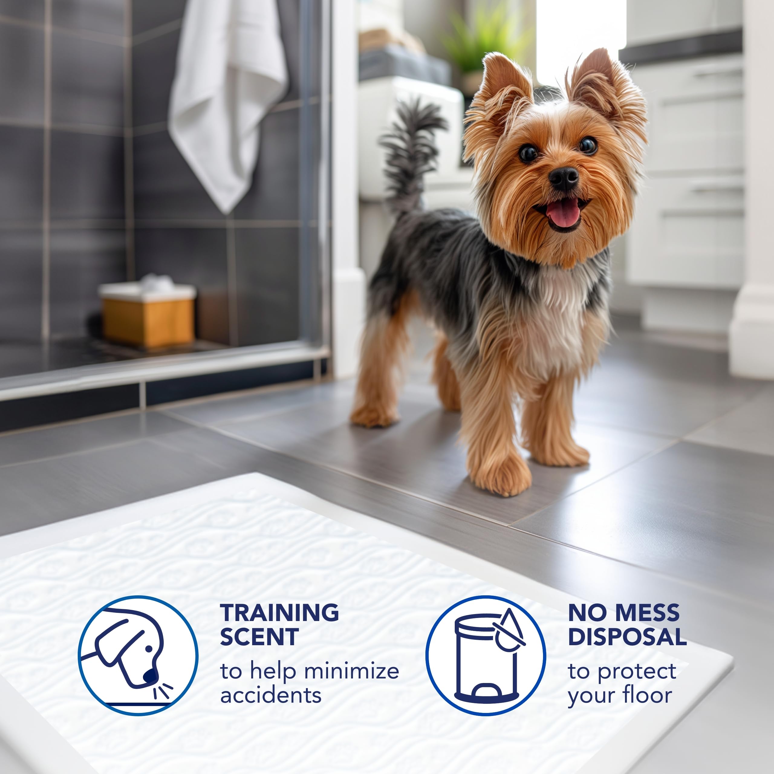 Scott Pet Guard Pad multiples couches: protection renforcée et confort pour l'animal.