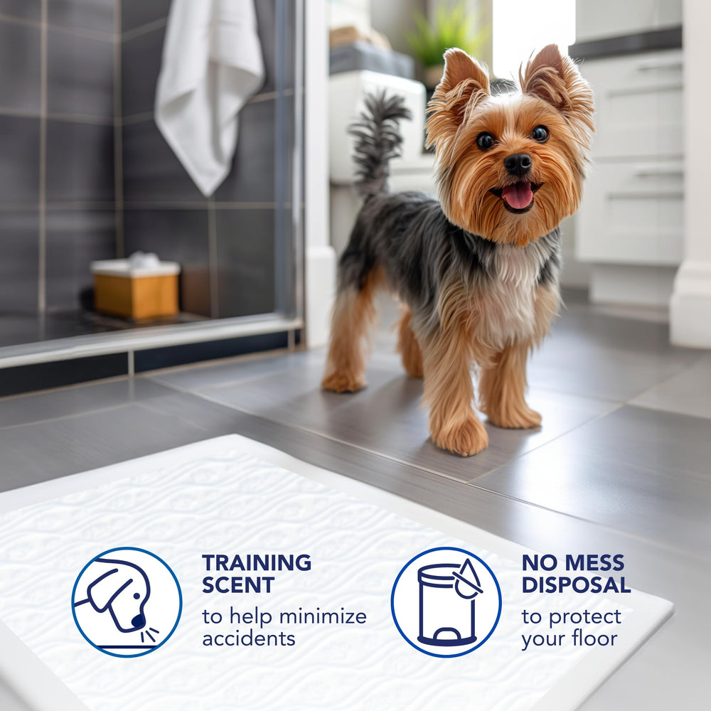 Scott Pet Guard Pad multiples couches: protection renforcée et confort pour l'animal.
