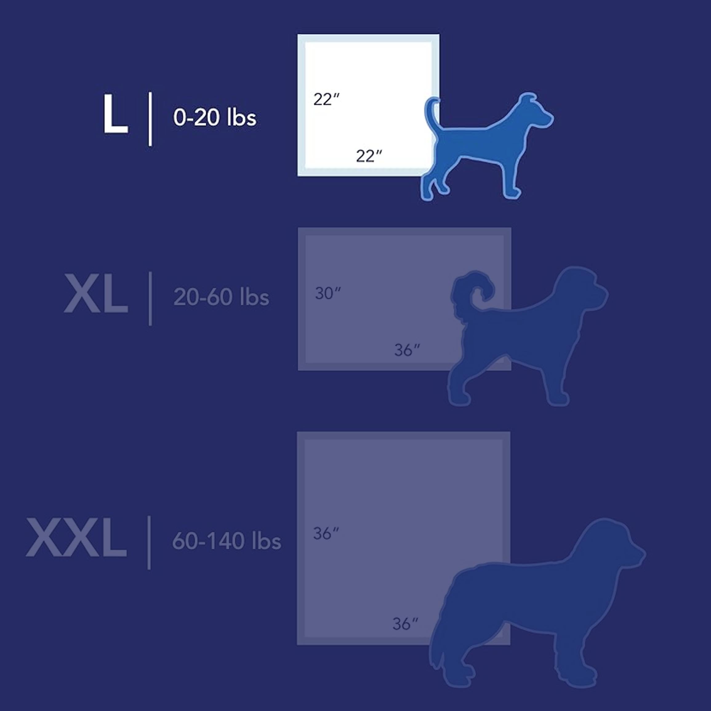 Scott Pet Guard Pad noyau absorption: haute capacité d'absorption pour propreté.