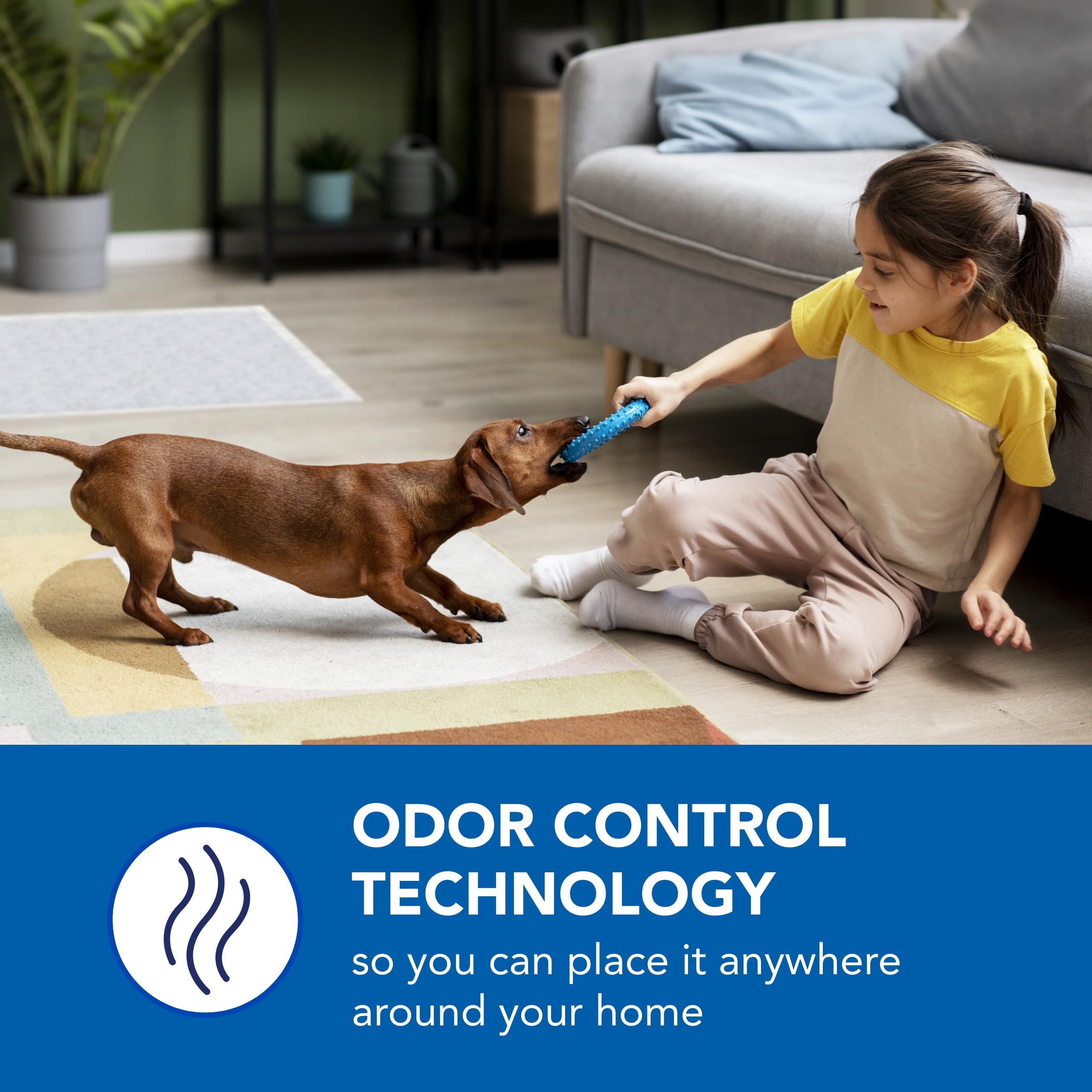 Scott Pet Guard Pad parfum d'entrainement: guide olfactif pour attirer le chien.