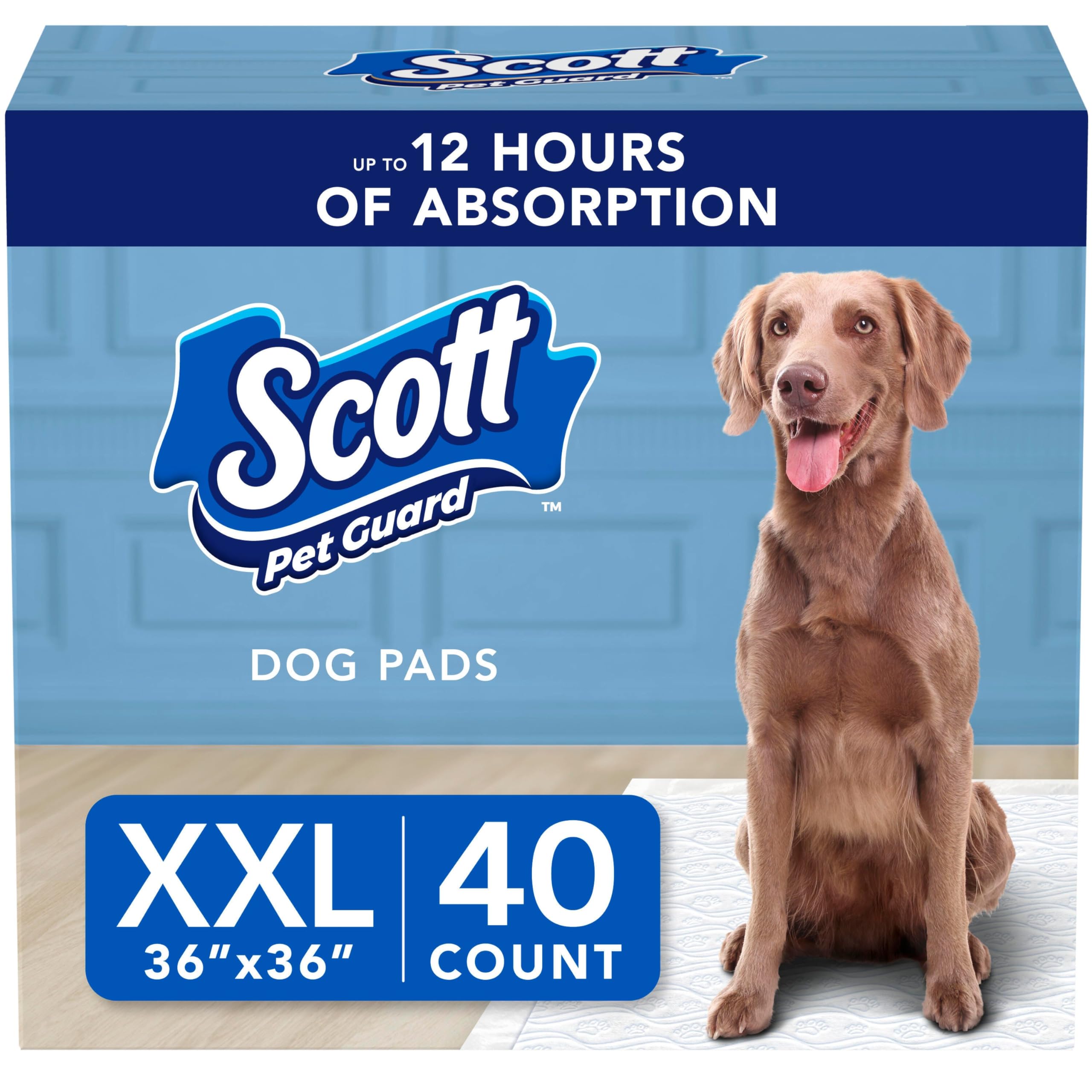 Scott Pet Guard XXL 36x36, tapis d'entraînement pour apprendre où faire ses besoins.