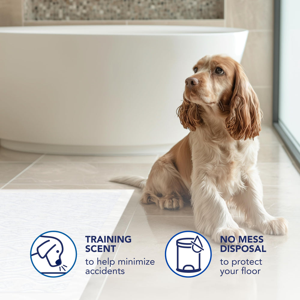 Scott Pet Guard Tapis d'entraînement multi-couches absorbantes et dos imperméable.