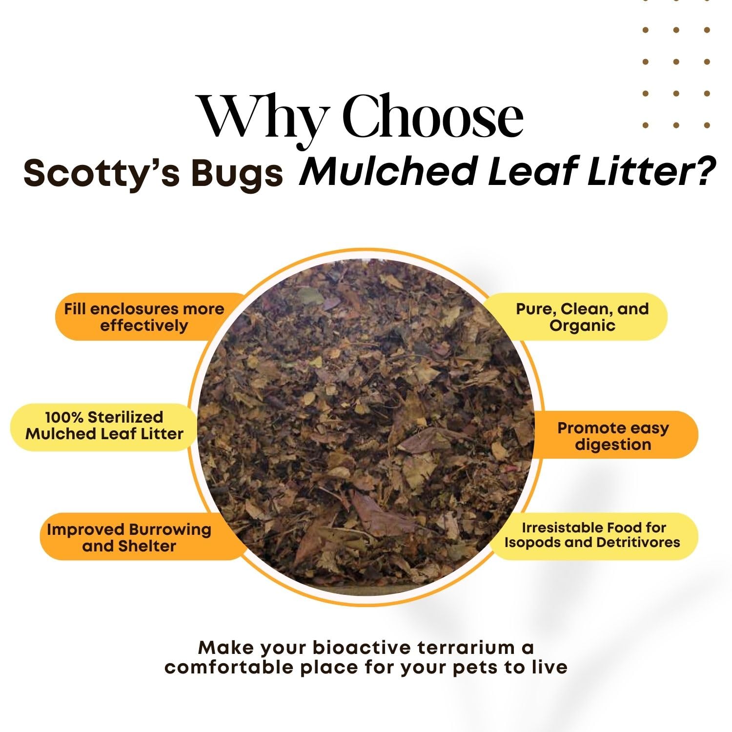 SCOTTY'S BUGS feuilles elm-maple-oak pour habitat biodiversifié et naturel.