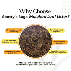 SCOTTY'S BUGS feuilles elm-maple-oak pour habitat biodiversifié et naturel.