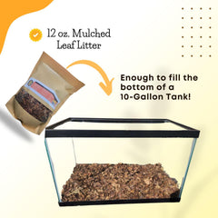 SCOTTY'S BUGS litiere terrarium pour cachettes et refuges naturels.