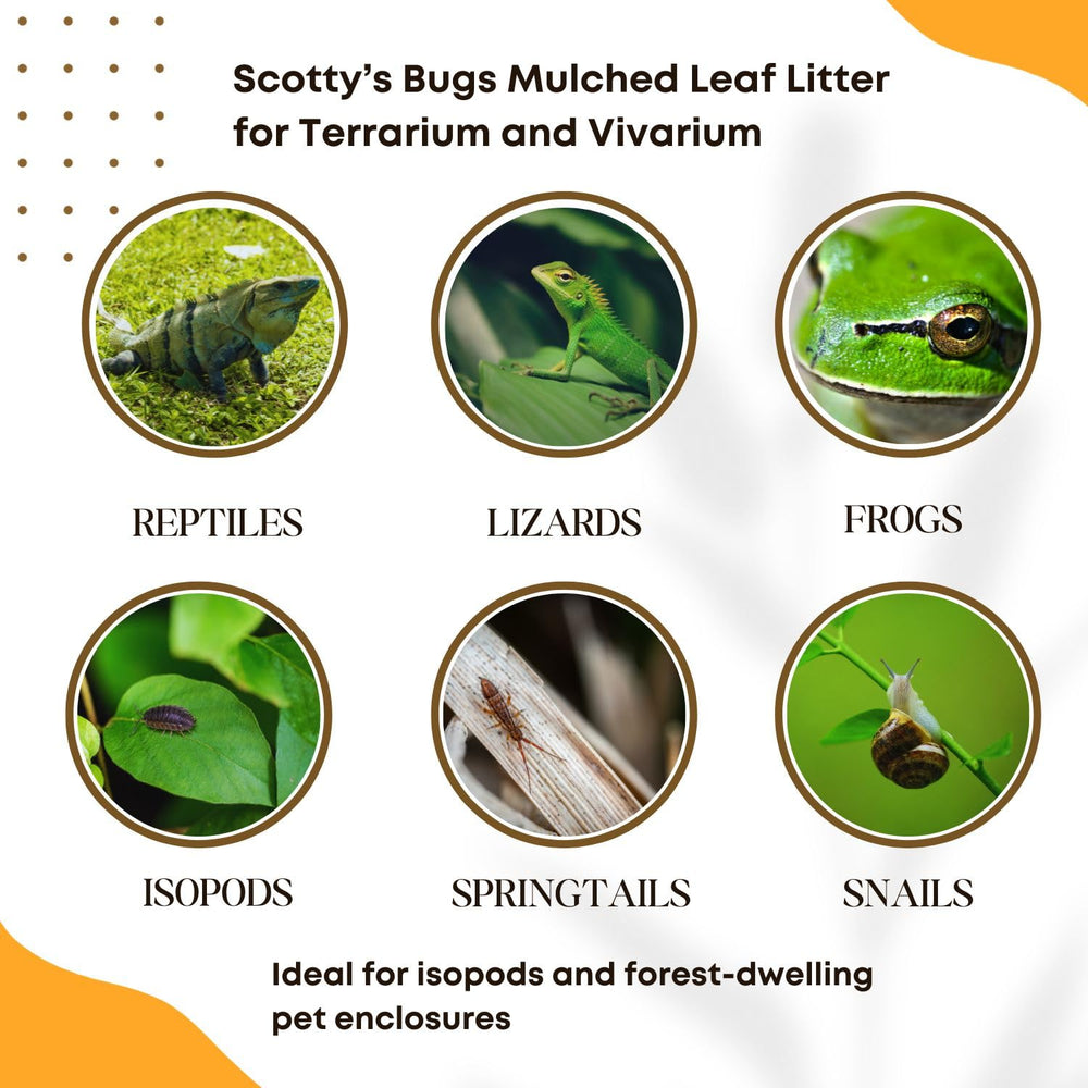 SCOTTY'S BUGS pack-12oz-feuilles pour couverture efficace du sol.