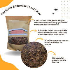 SCOTTY'S BUGS substrat organique feuilles pour reptiles et detritivores.