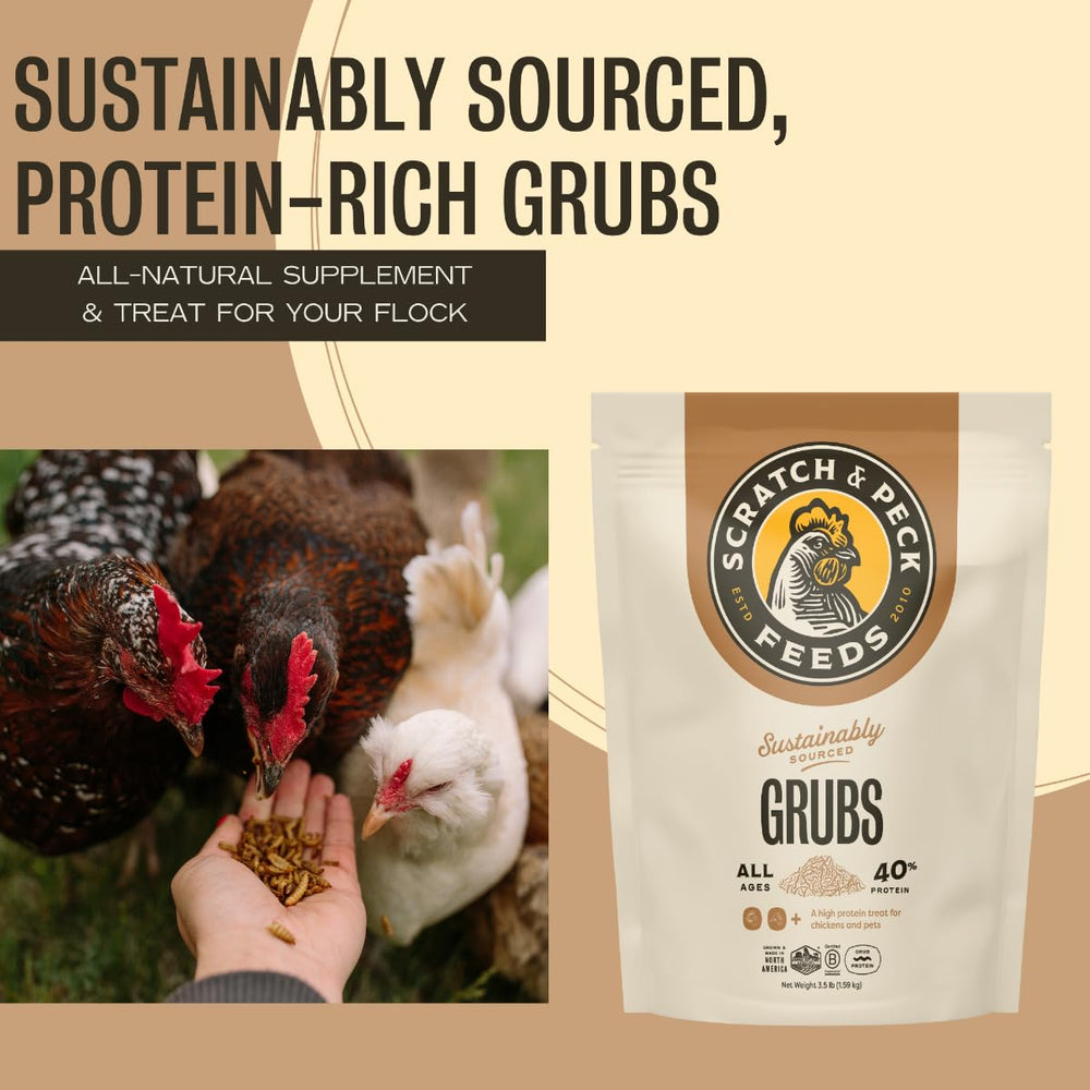 Scratch and Peck Grubs: calcium dense pour œufs solides et os forts.
