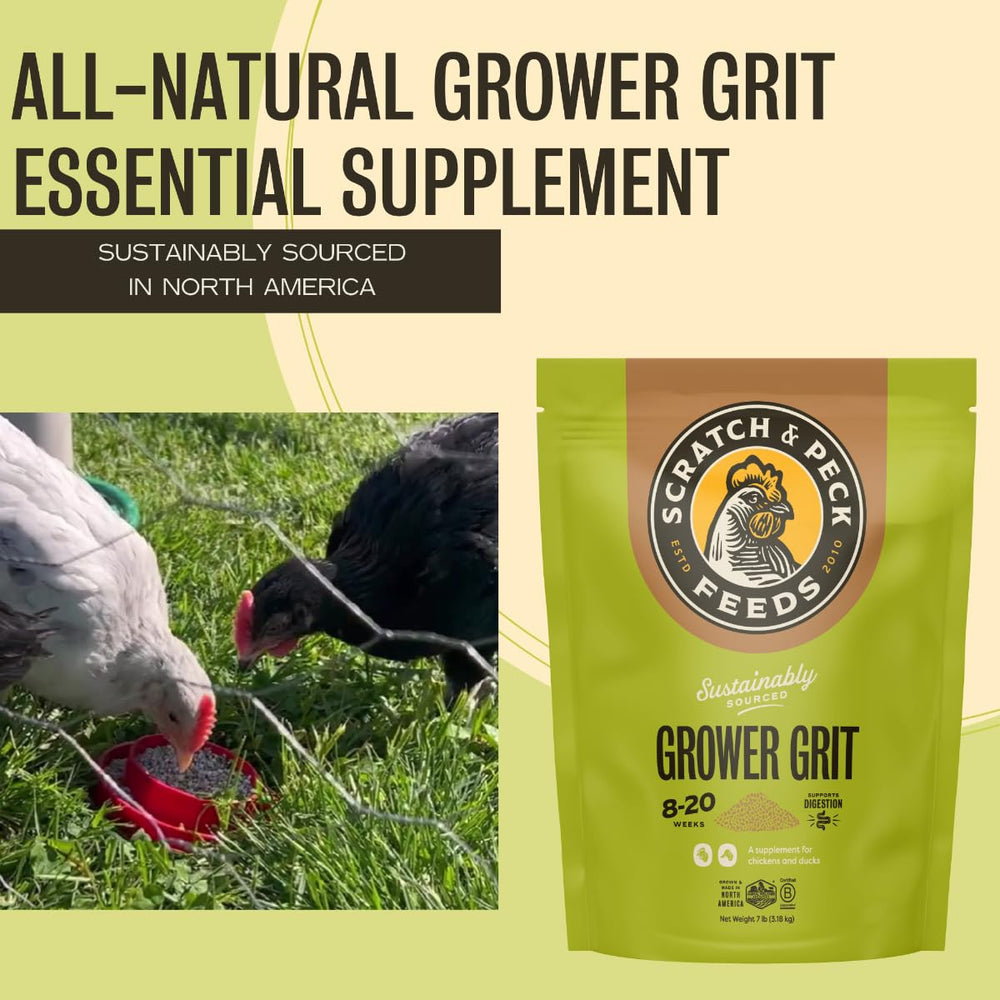 Sachet Grower Grit Scratch and Peck de 7 livres prêt à l'emploi.