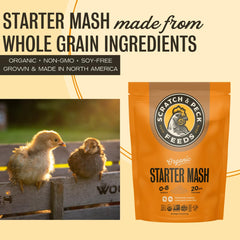 Scratch and Peck Starter Mash sans maïs ni soja adapté pour poussins sensibles