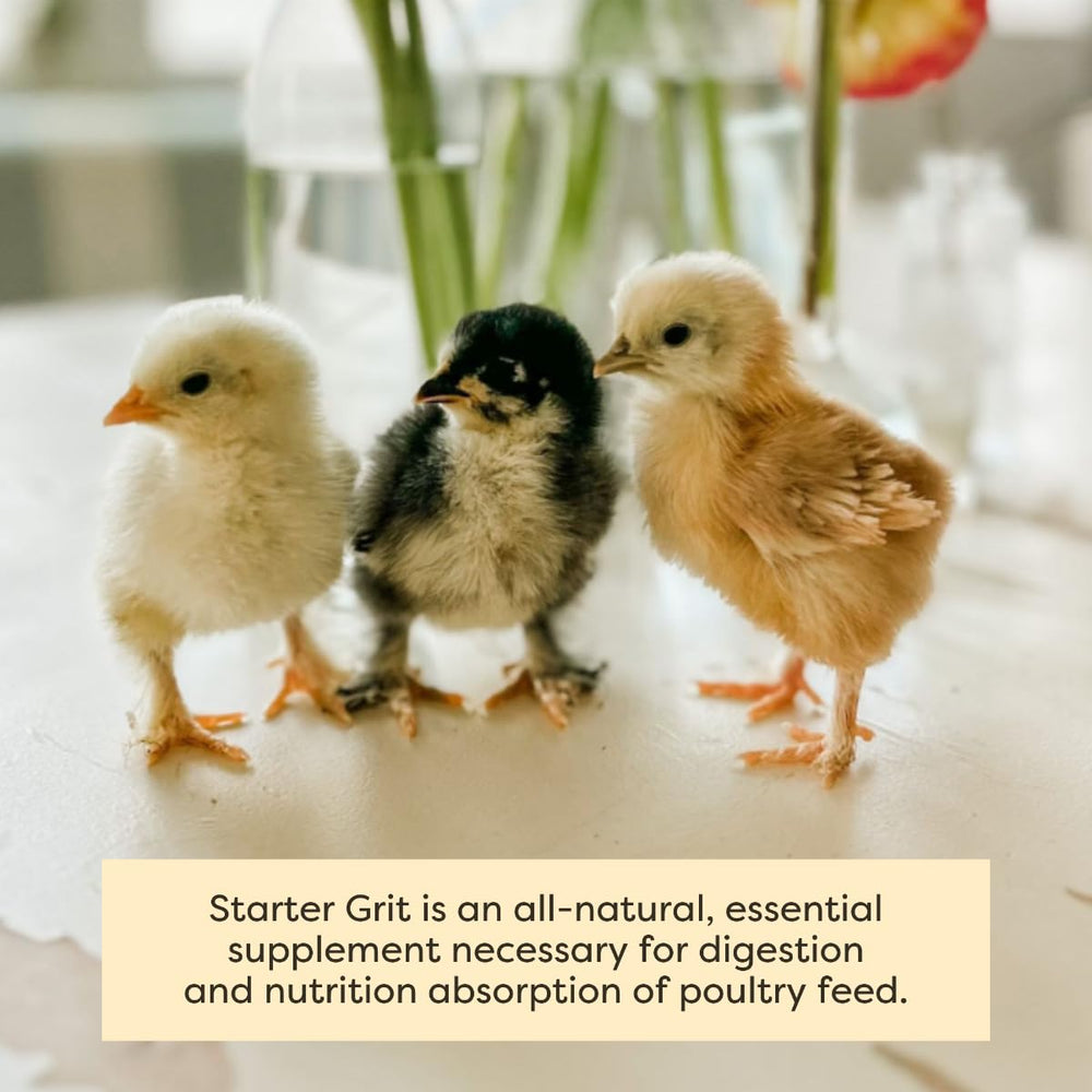 Scratch and Peck Starter Grit trois tailles: Chick, Grower et Layer pour l’adaptabilité.