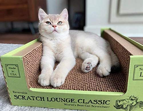 Scratch Lounge XL carton ondule recyclable et sans materiels nocifs