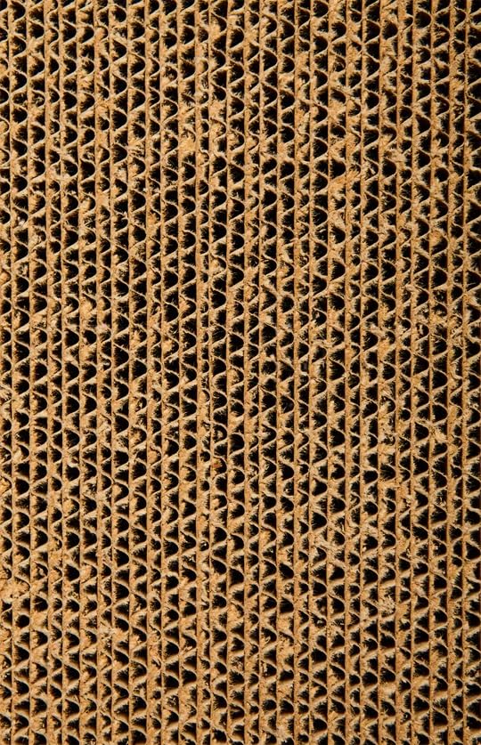 Scratch Lounge XL dimensions 21 po sur 13 po pour espace adapte