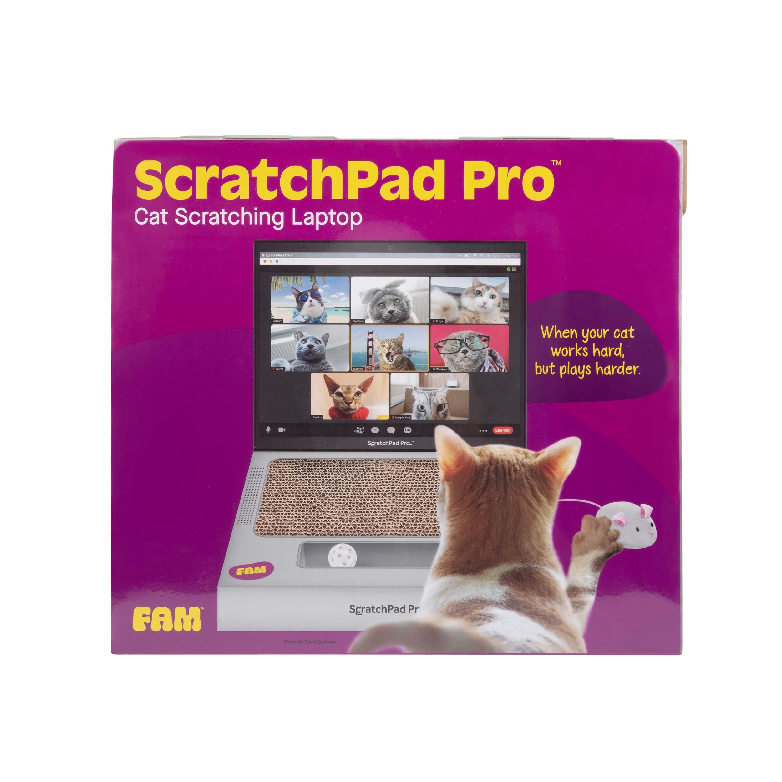 ScratchPad Pro, cadeau idéal : divertit les chats tout en protégeant le mobilier.