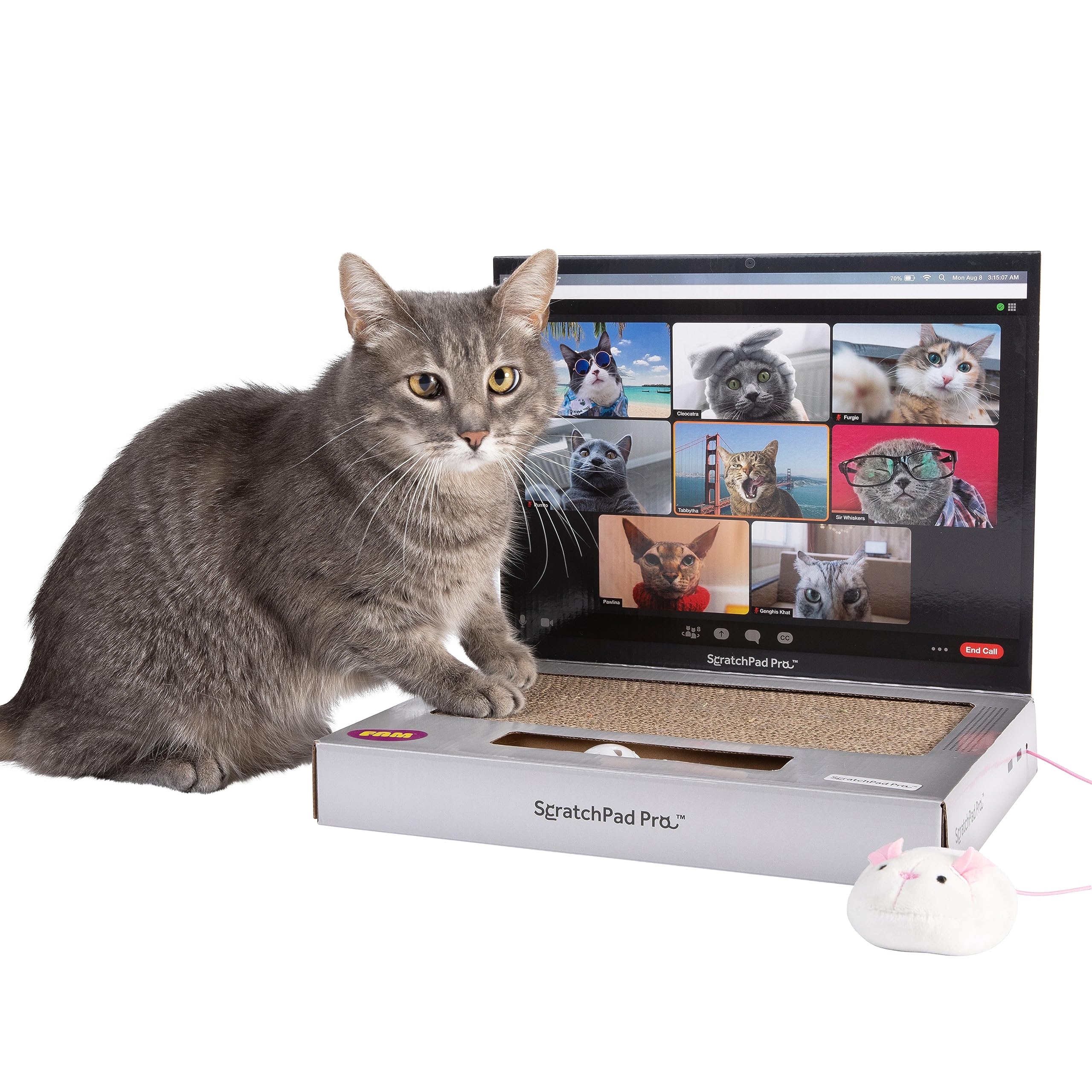 ScratchPad Pro, thème laptop : espace de griffage inspiré du bureau.