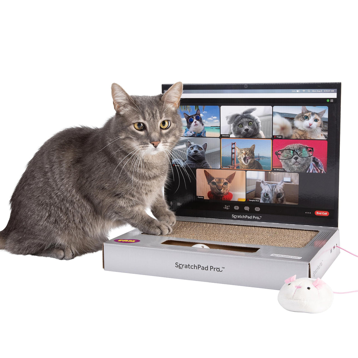 ScratchPad Pro, thème laptop : espace de griffage inspiré du bureau.
