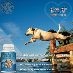 Capsules molles ScruffyPet 1000 mg pour chien