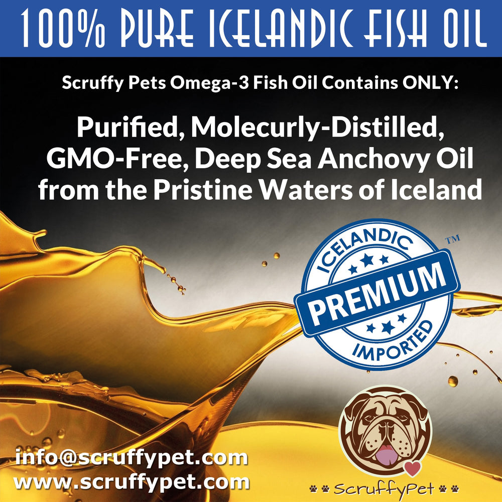 Logo non GMO et testée par des tiers ScruffyPet