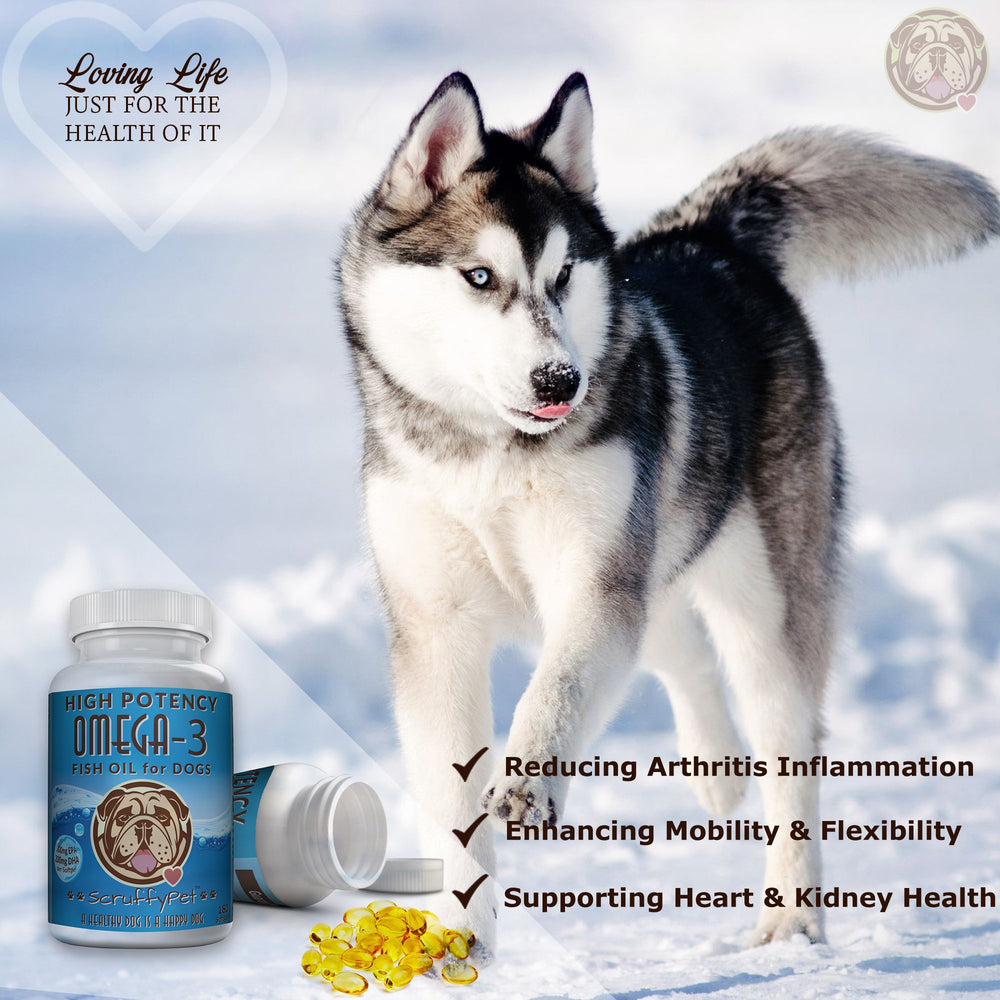 Vitamine E ajoutee a ScruffyPet omega-3 pour chien