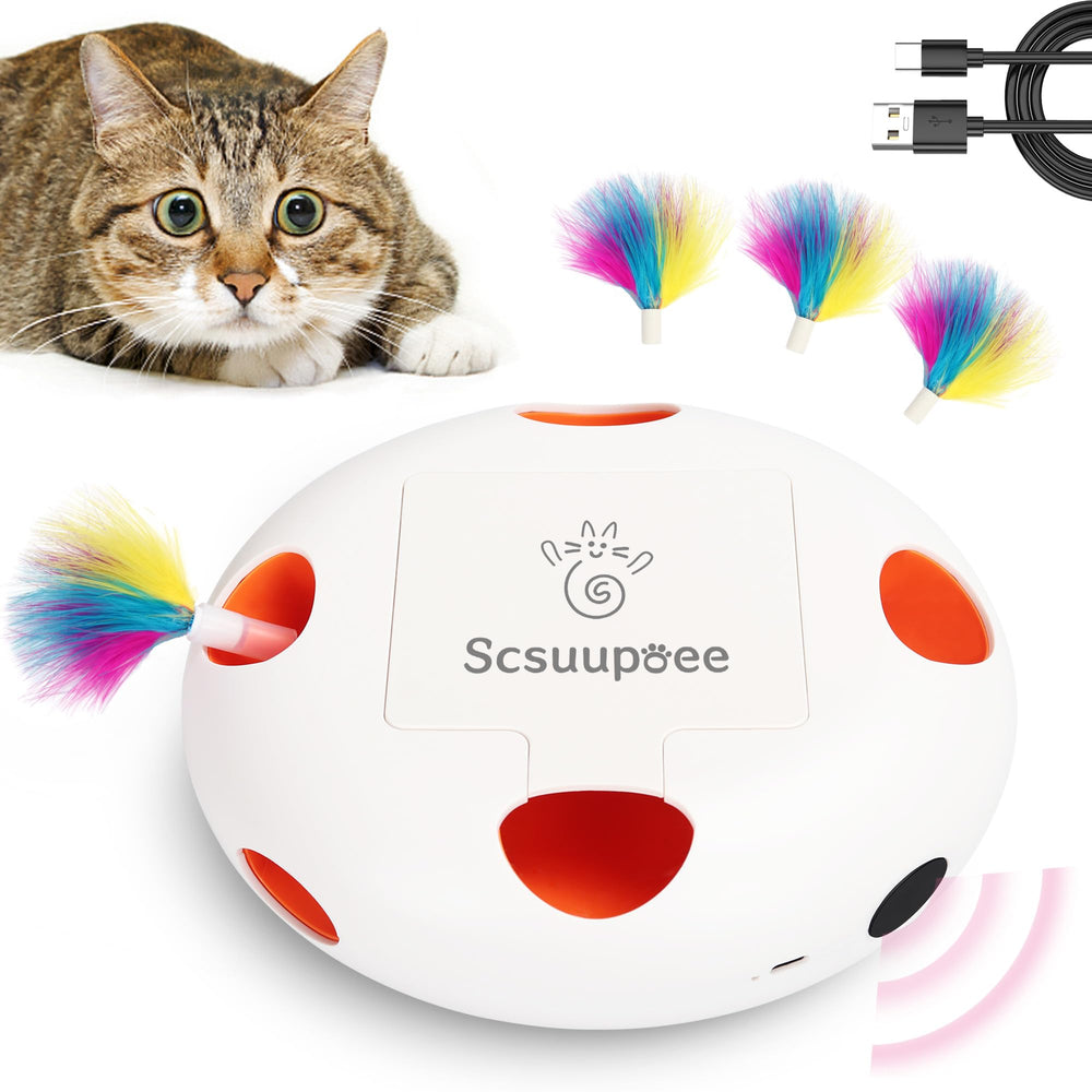 Scsuupoee chat-jouet-interactif-rechargeable: stimule le jeu des chats et se recharge par USB