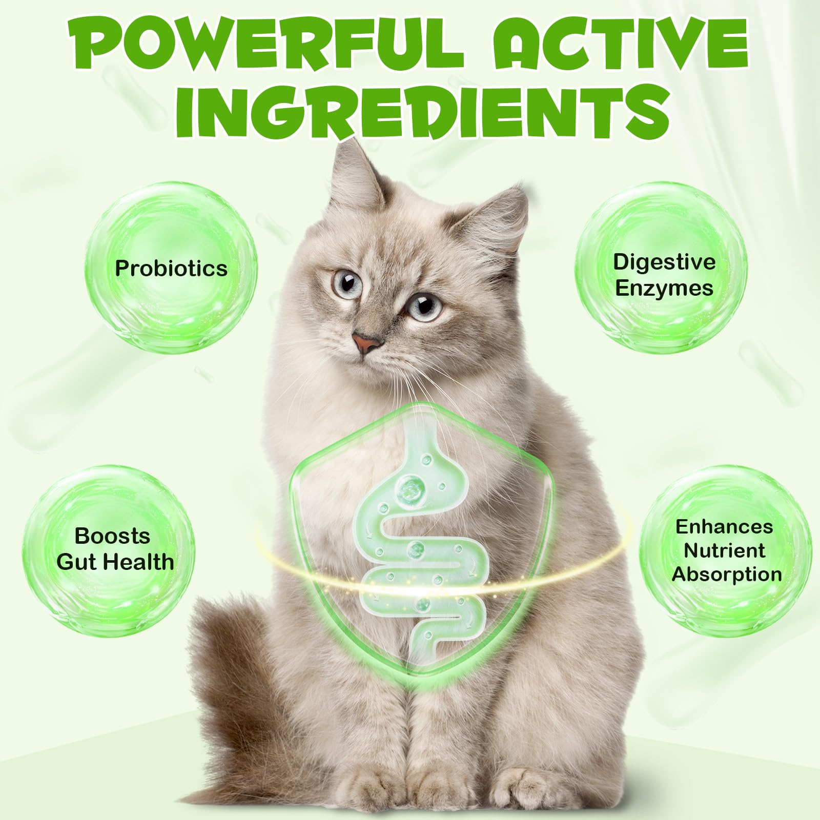 SDJUFEI amélioration absorption des nutriments pour chats probiotiques gouttes.