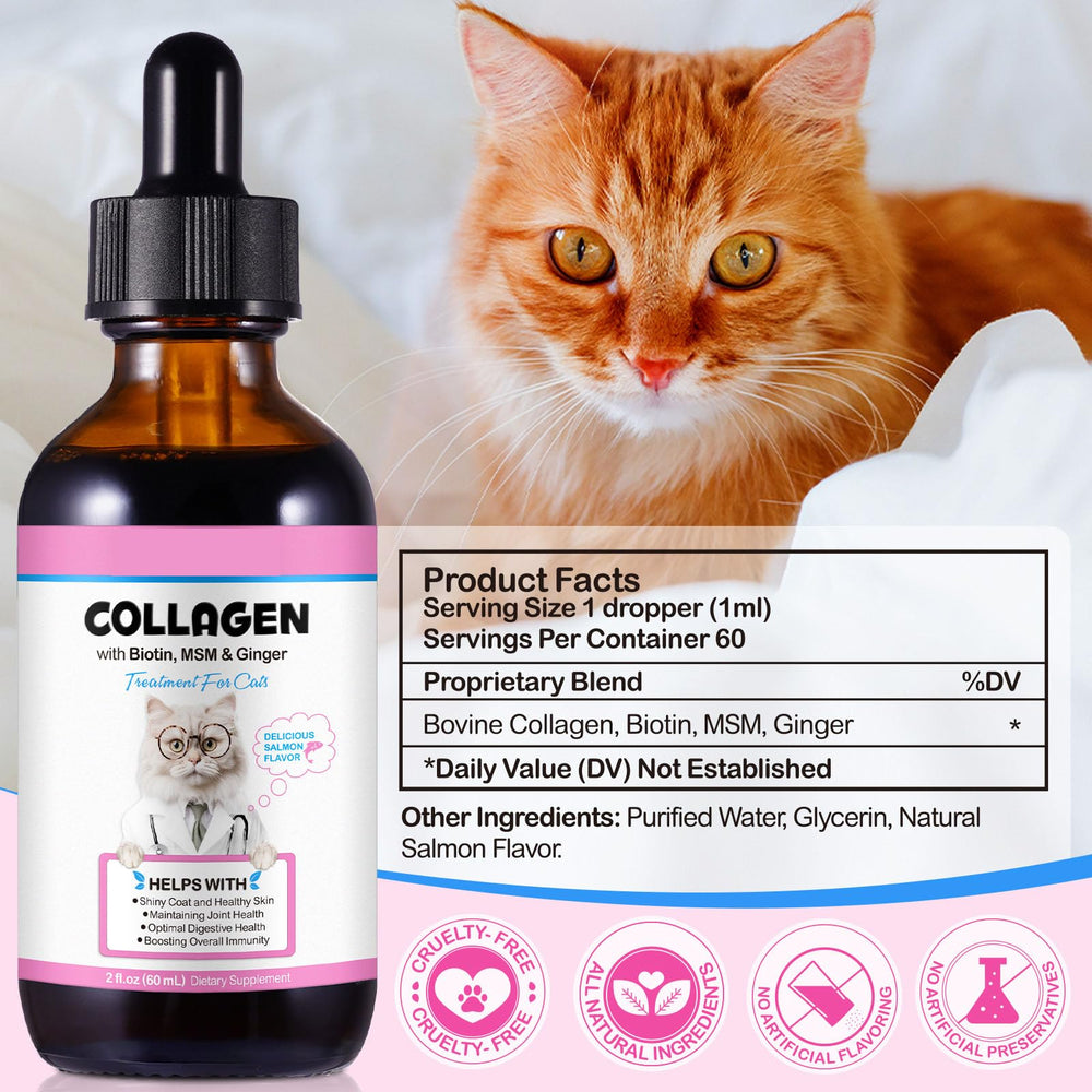 SDJUFEI Collagen pour chats: articulations et mobilité améliorées.