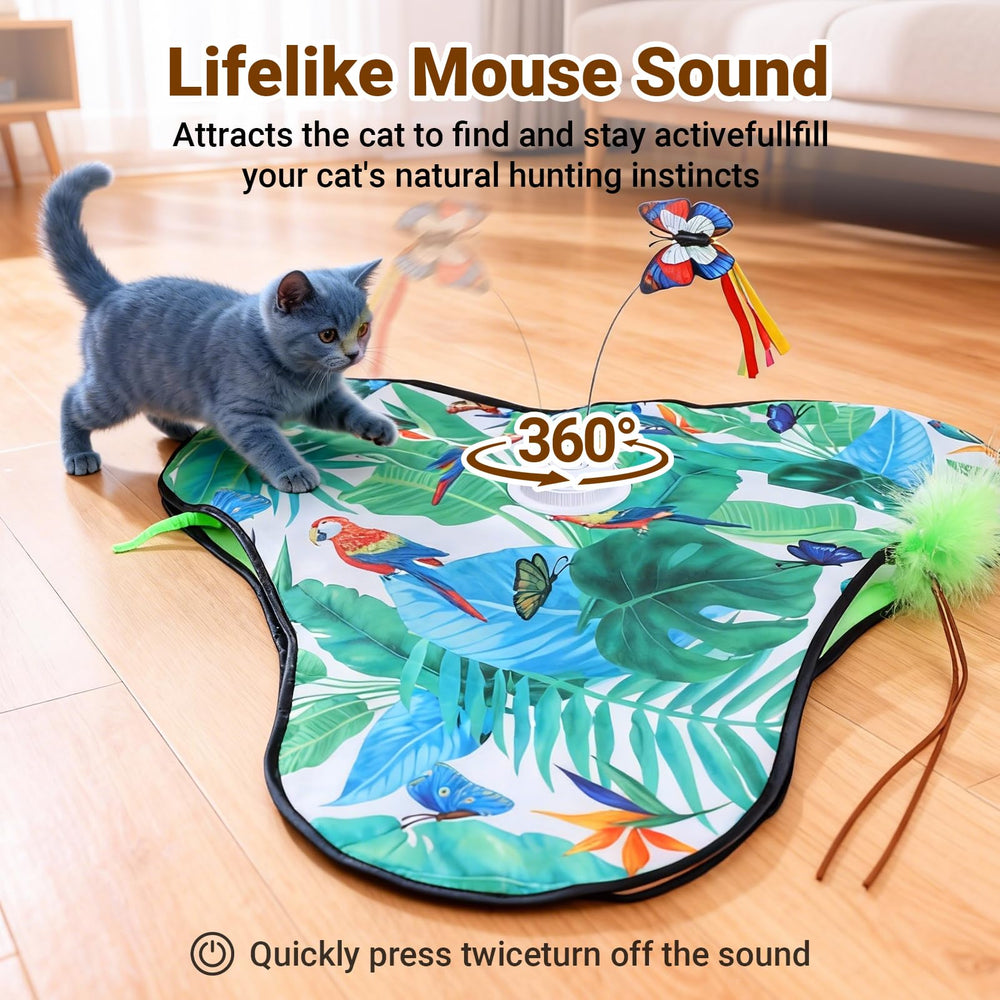 SDWUBQ design sûr et durable pour jeux prolongés et plaisir du chat