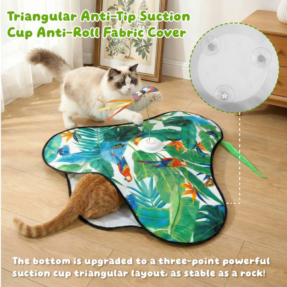 SDWUBQ jeu d’intérieur pratique pour chats lorsqu’ils restent à la maison