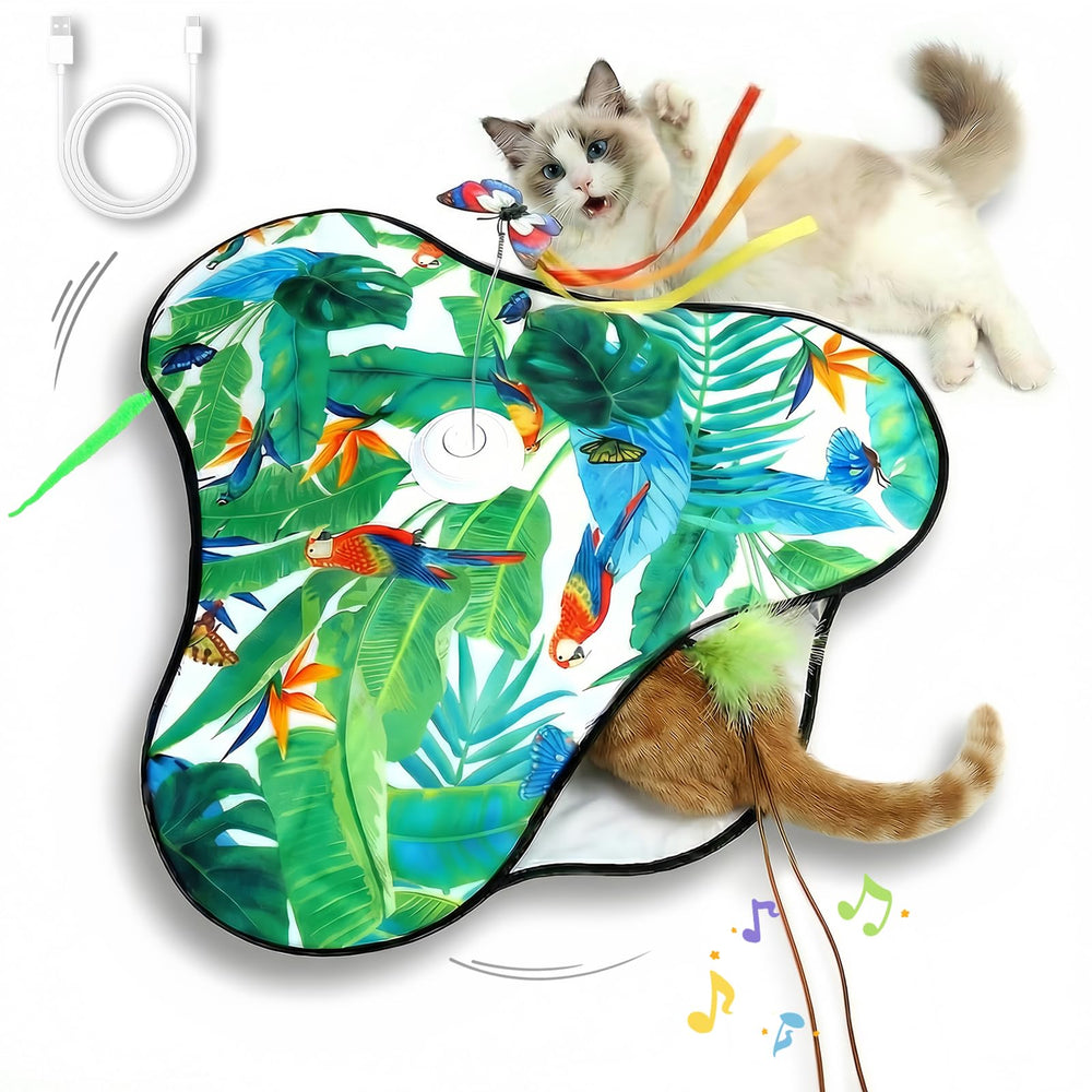 SDWUBQ jouet interactif pour chat avec plumes cachées offrant stimulation visuelle et physique