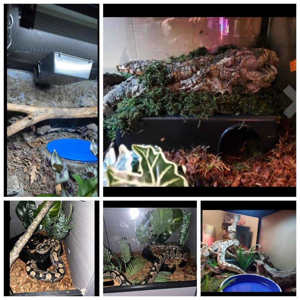 SDZGQPET Amypet refuge serpent XXL matériau durable pour usage prolongé