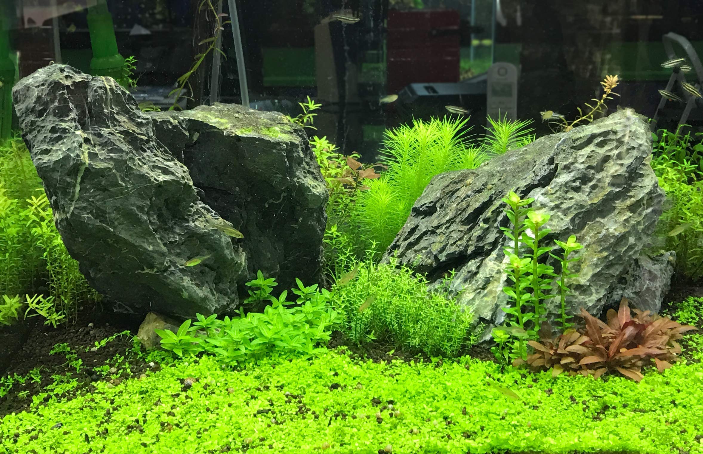 Produit sans phosphate pour éviter les excès dans l'eau dure.