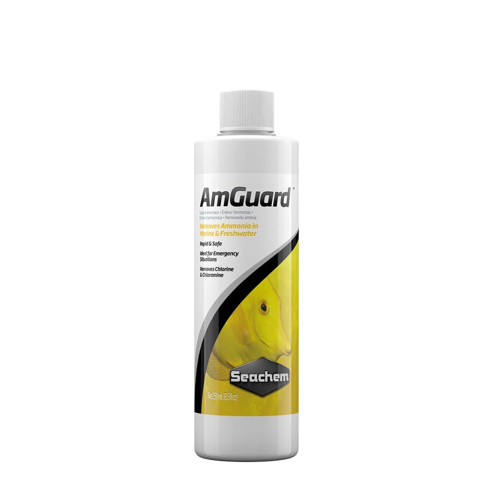Bouteille Seachem AmGuard prête à neutraliser l’ammoniaque dans l’aquarium.