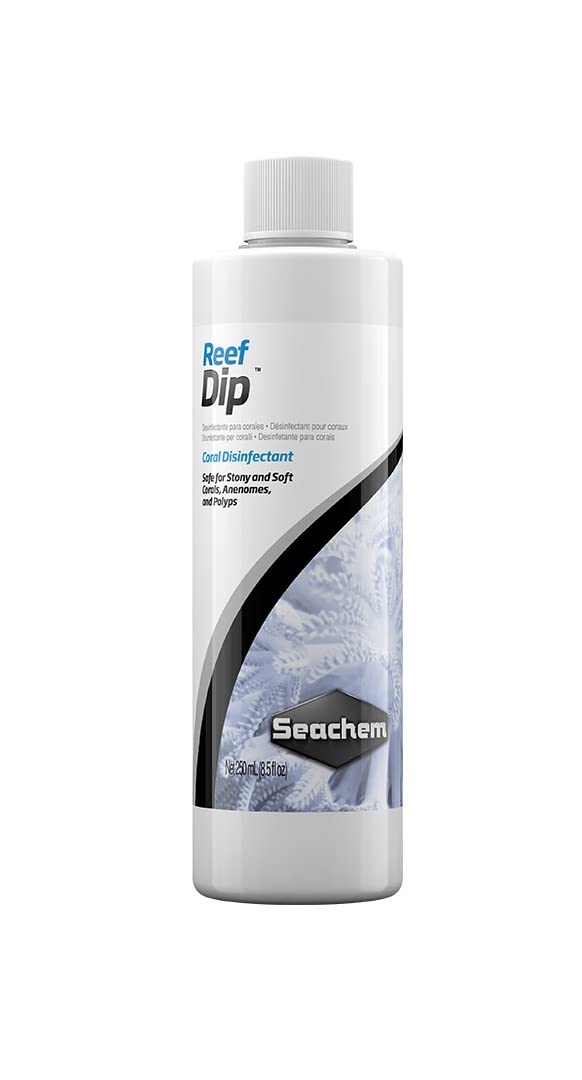 Seachem Reef Dip: bouteille 250 ml prête à nettoyer les coraux sans danger.