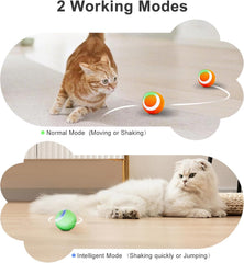 SEALON Balle chat ABS durable et sûr pour les jeux actifs.