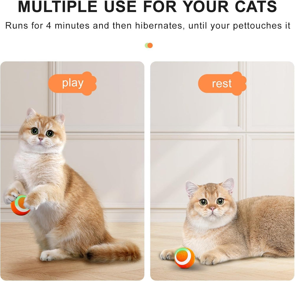 SEALON Balle chat recharge Type-C, recharge rapide pour plus de sessions.