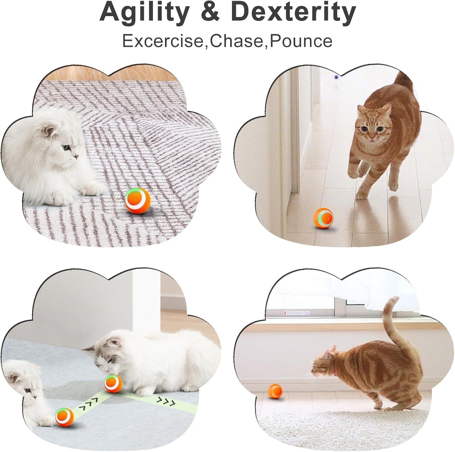 SEALON Balle chat usage intérieur, parfaite pour jeux en appartement.