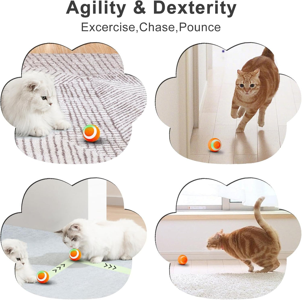 SEALON Balle chat usage intérieur, parfaite pour jeux en appartement.