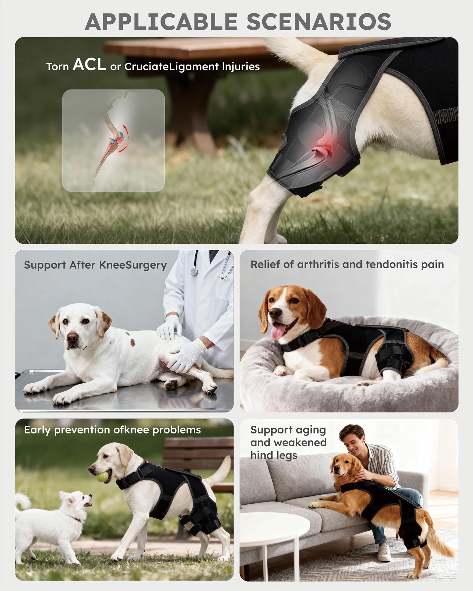 Seangonna Attelle Genou Chien Arrière, distribution du poids équilibrée