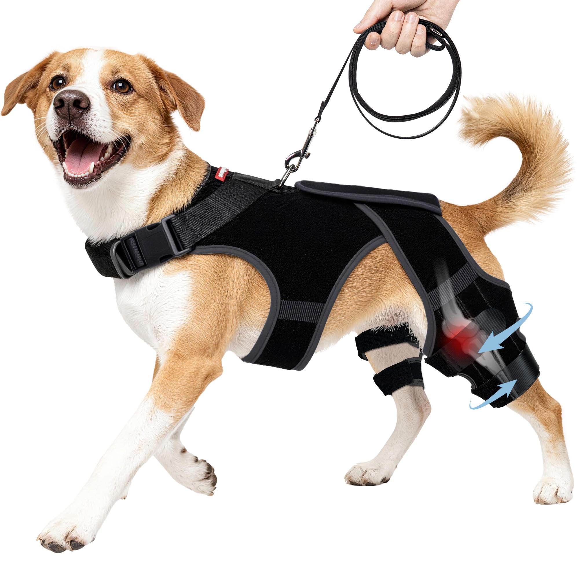 Seangonna Attelle Genou Chien Avant, soutien stable pour récupération en douceur